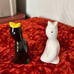 Black and White Pie Birds.